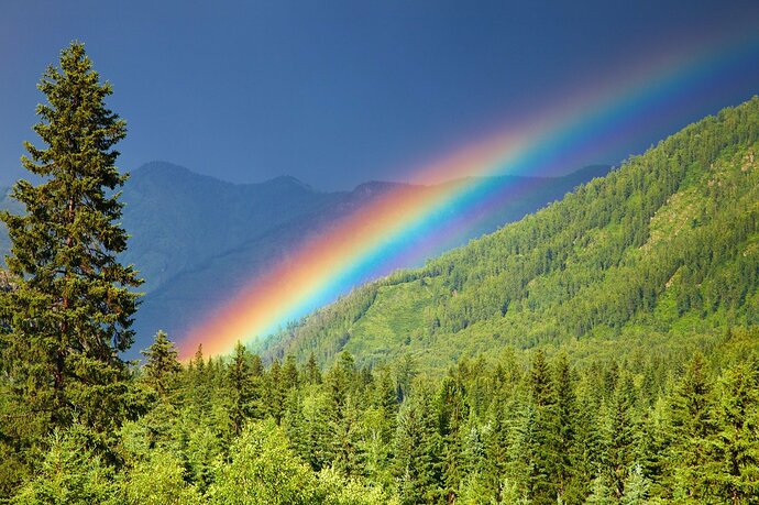 colored-rainbow-over-forest-mountains